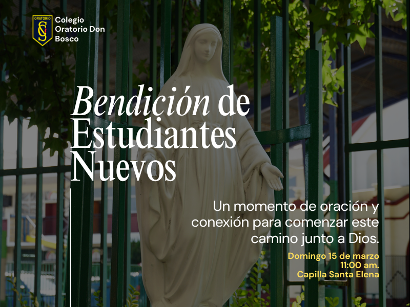 Historias (800 x 600 px) (1).png