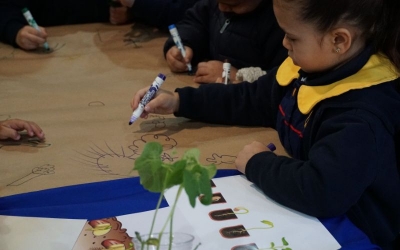 Feria Medioambiental